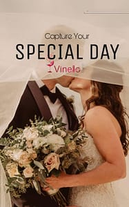 Antalya vinello Müzik- Vinello Music